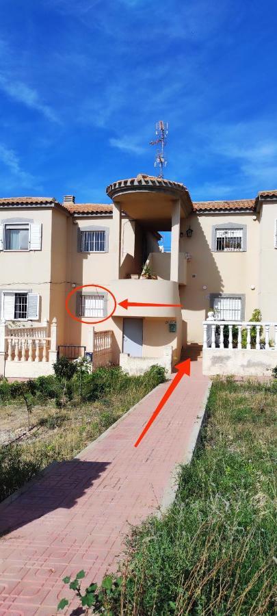 Zeus Beach La Mata Торевиеха Екстериор снимка